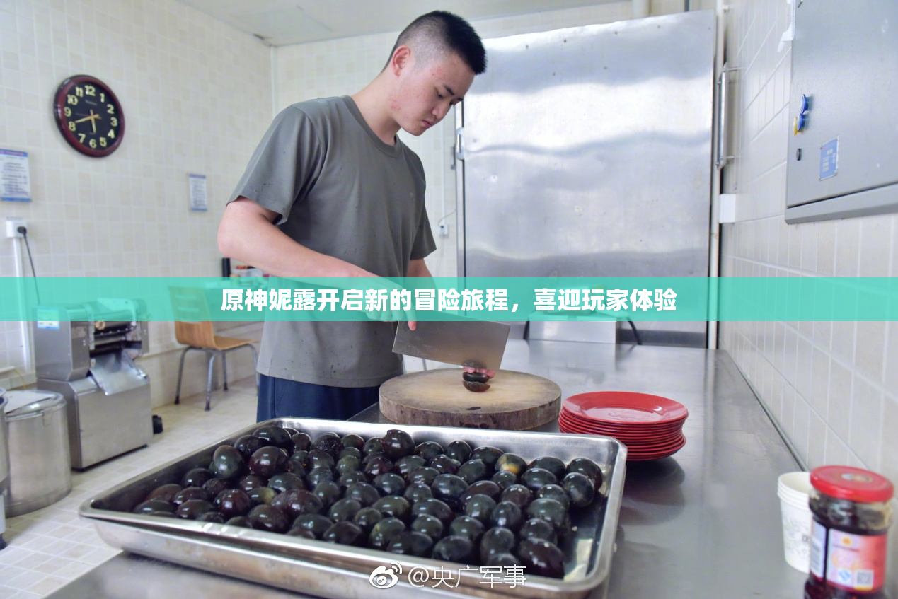 原神妮露开启新的冒险旅程，喜迎玩家体验