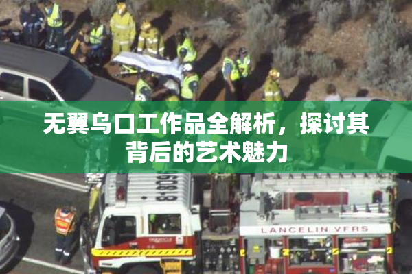 无翼乌口工作品全解析，探讨其背后的艺术魅力