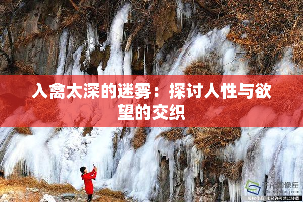 入禽太深的迷雾：探讨人性与欲望的交织