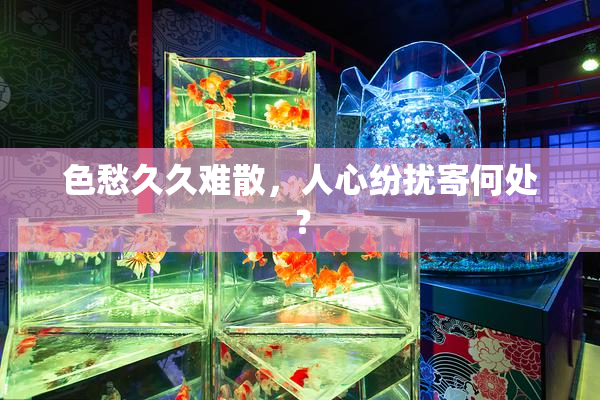 色愁久久难散，人心纷扰寄何处？