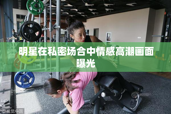 明星在私密场合中情感高潮画面曝光