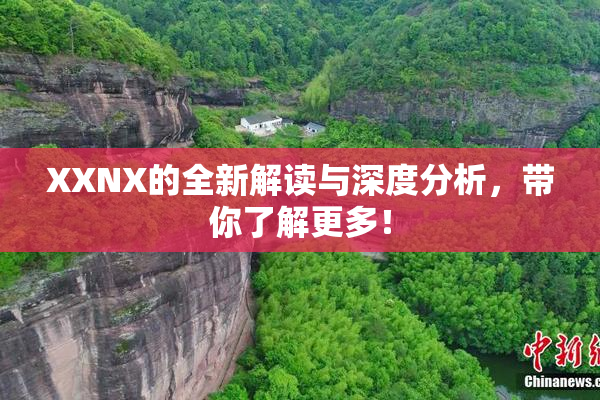 XXNX的全新解读与深度分析，带你了解更多！