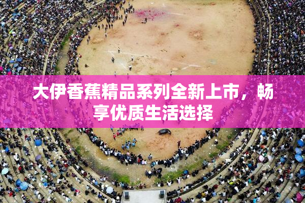 大伊香蕉精品系列全新上市，畅享优质生活选择