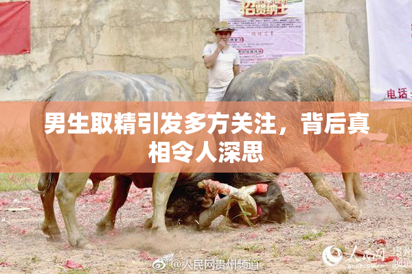 男生取精引发多方关注，背后真相令人深思