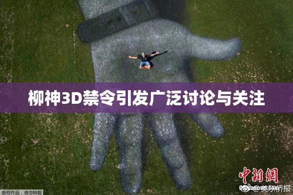 柳神3D禁令引发广泛讨论与关注