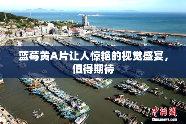 蓝莓黄A片让人惊艳的视觉盛宴，值得期待