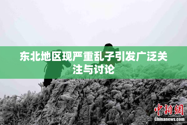 东北地区现严重乱子引发广泛关注与讨论