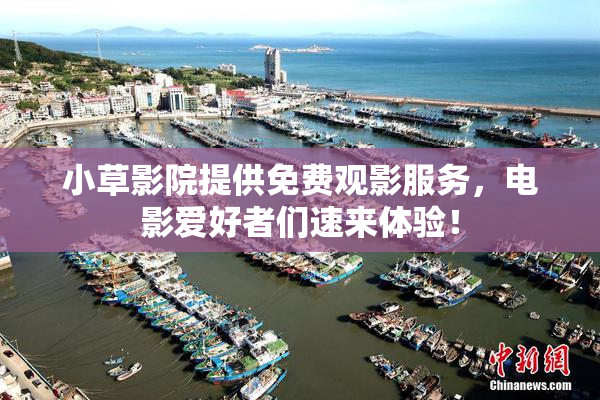 小草影院提供免费观影服务，电影爱好者们速来体验！