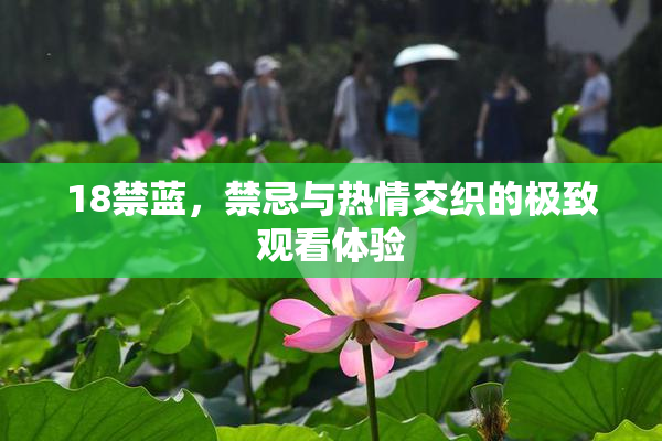 18禁蓝，禁忌与热情交织的极致观看体验