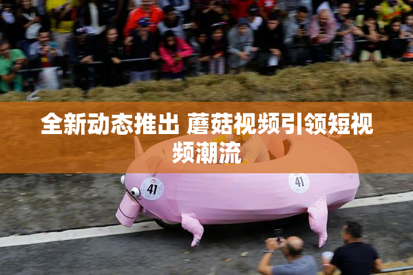 全新动态推出 蘑菇视频引领短视频潮流