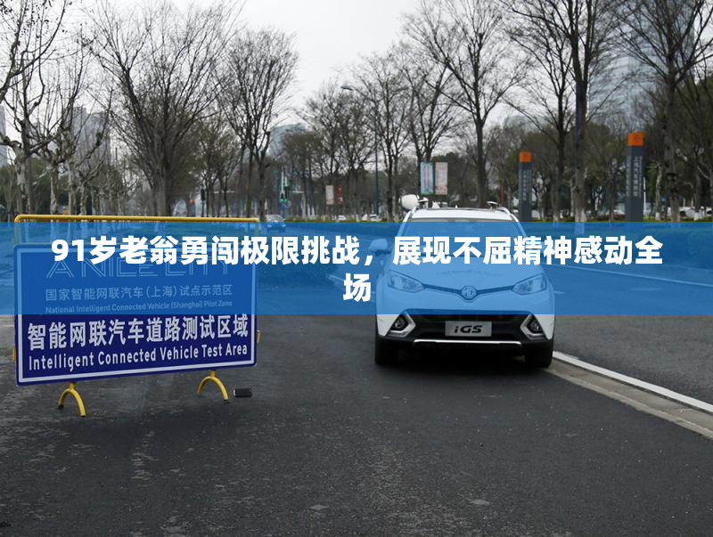 91岁老翁勇闯极限挑战，展现不屈精神感动全场