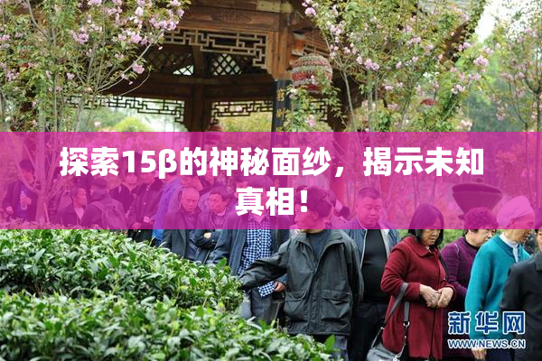 探索15β的神秘面纱，揭示未知真相！