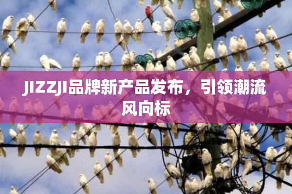 JIZZJI品牌新产品发布，引领潮流风向标