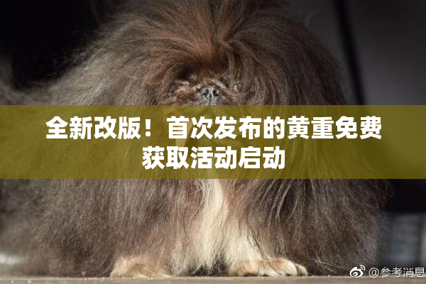 全新改版！首次发布的黄重免费获取活动启动