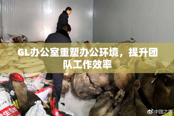 GL办公室重塑办公环境，提升团队工作效率