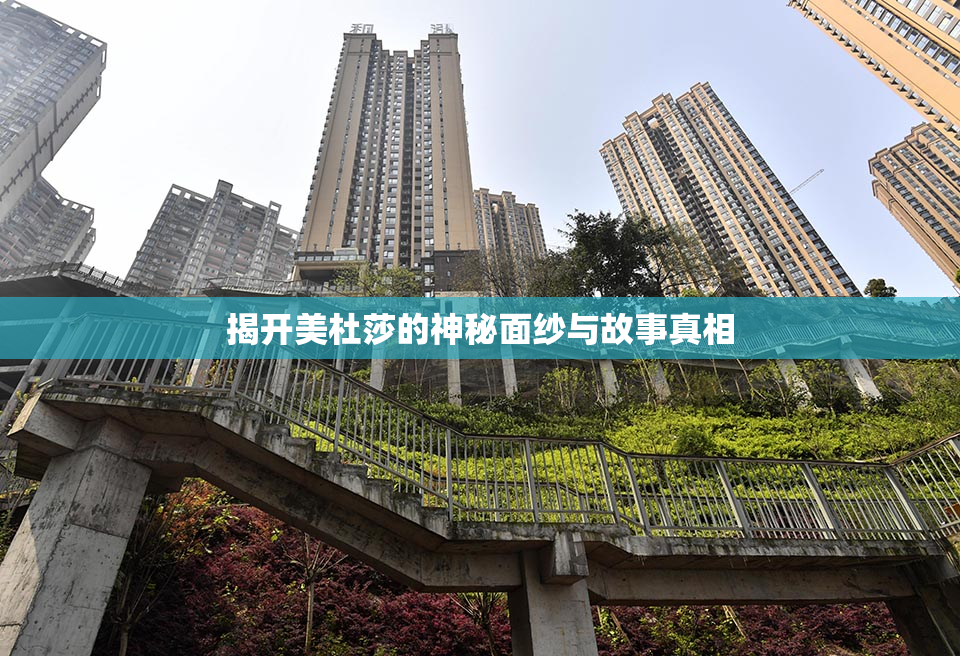 揭开美杜莎的神秘面纱与故事真相