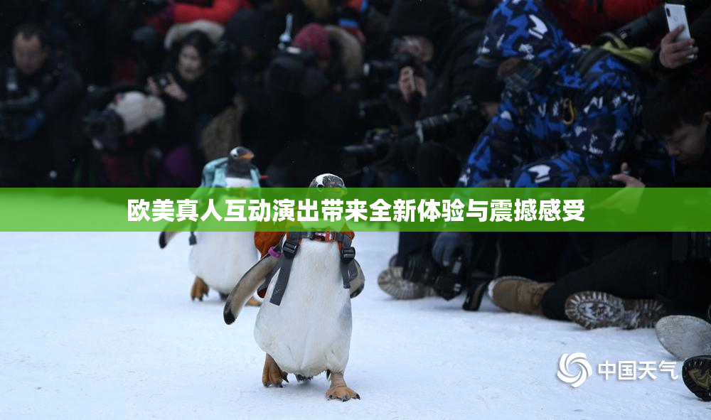 欧美真人互动演出带来全新体验与震撼感受