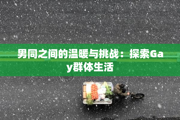 男同之间的温暖与挑战：探索Gay群体生活