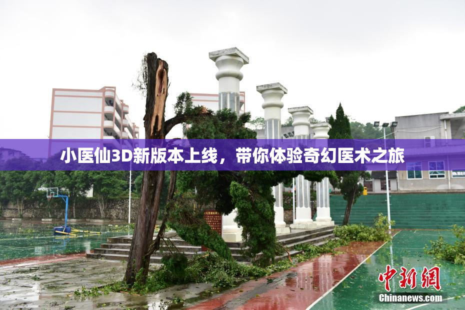 小医仙3D新版本上线，带你体验奇幻医术之旅