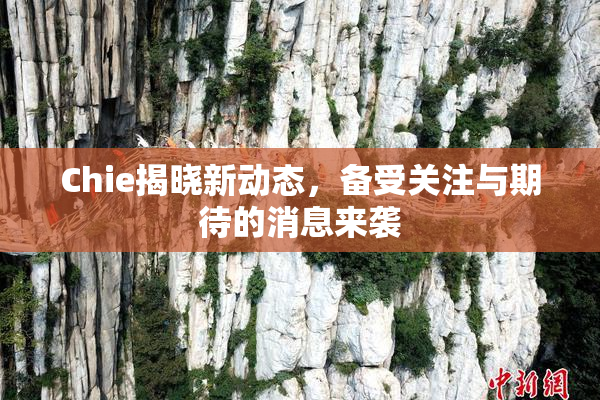 Chie揭晓新动态，备受关注与期待的消息来袭