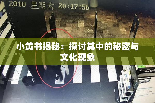 小黄书揭秘：探讨其中的秘密与文化现象