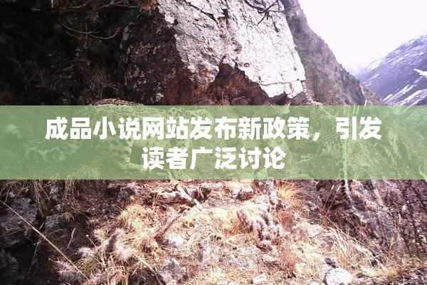 成品小说网站发布新政策，引发读者广泛讨论