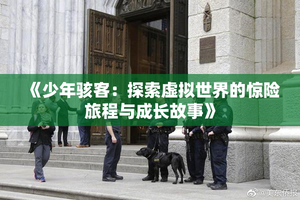 《少年骇客：探索虚拟世界的惊险旅程与成长故事》