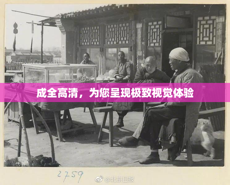 成全高清，为您呈现极致视觉体验