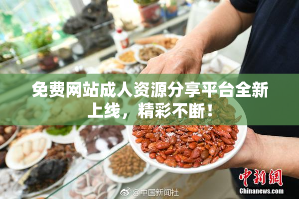 免费网站成人资源分享平台全新上线，精彩不断！