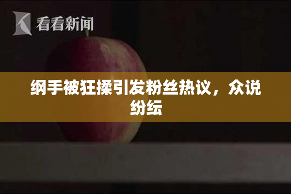 纲手被狂揉引发粉丝热议，众说纷纭