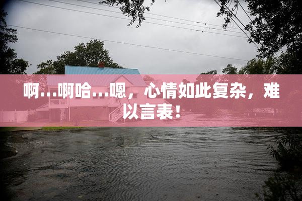 啊…啊哈…嗯，心情如此复杂，难以言表！