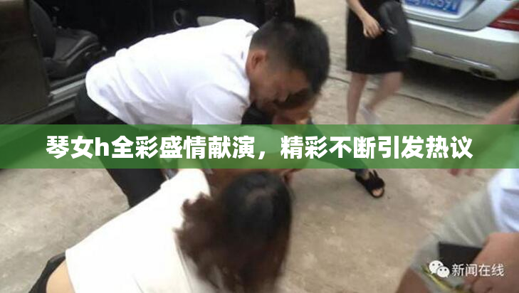 琴女h全彩盛情献演，精彩不断引发热议