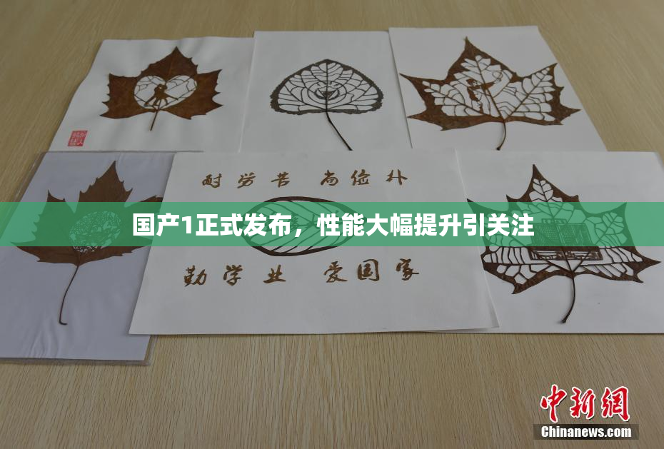 国产1正式发布，性能大幅提升引关注