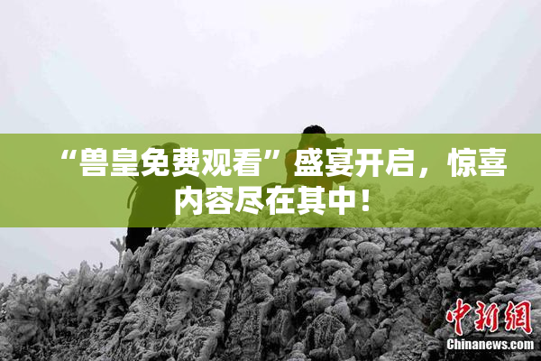 “兽皇免费观看”盛宴开启，惊喜内容尽在其中！
