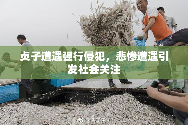 贞子遭遇强行侵犯，悲惨遭遇引发社会关注