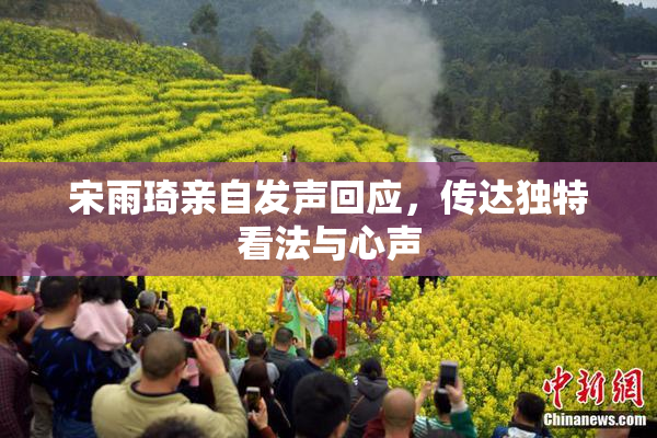 宋雨琦亲自发声回应，传达独特看法与心声