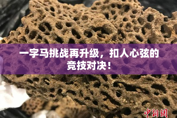 一字马挑战再升级，扣人心弦的竞技对决！