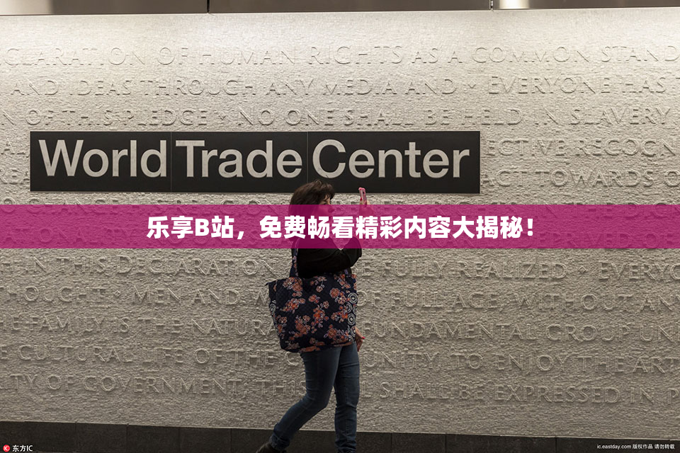乐享B站，免费畅看精彩内容大揭秘！