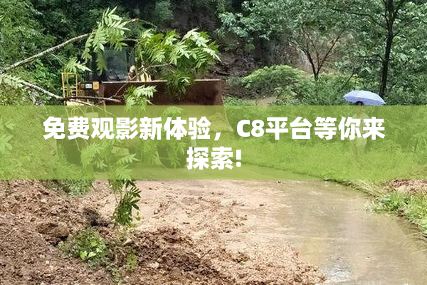 免费观影新体验，C8平台等你来探索!