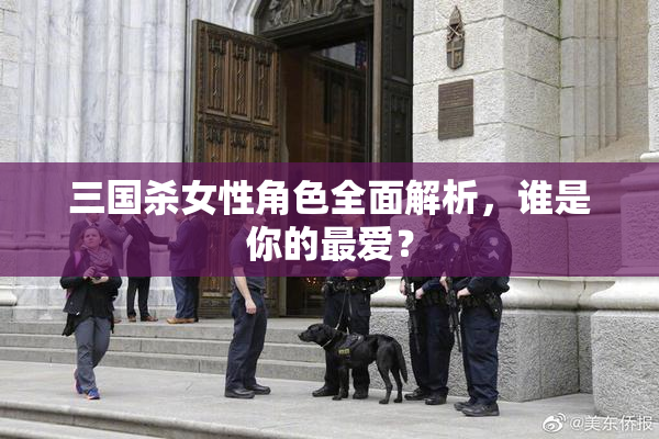 三国杀女性角色全面解析，谁是你的最爱？
