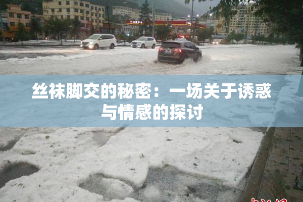 丝袜脚交的秘密：一场关于诱惑与情感的探讨
