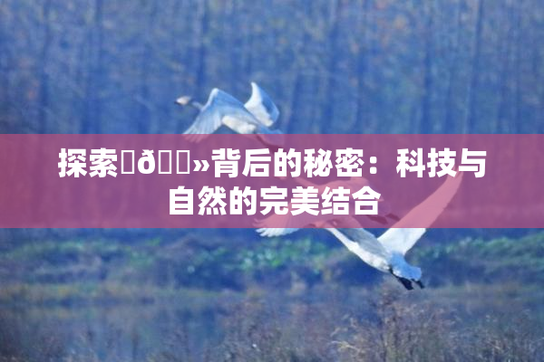 探索‌🐻背后的秘密：科技与自然的完美结合