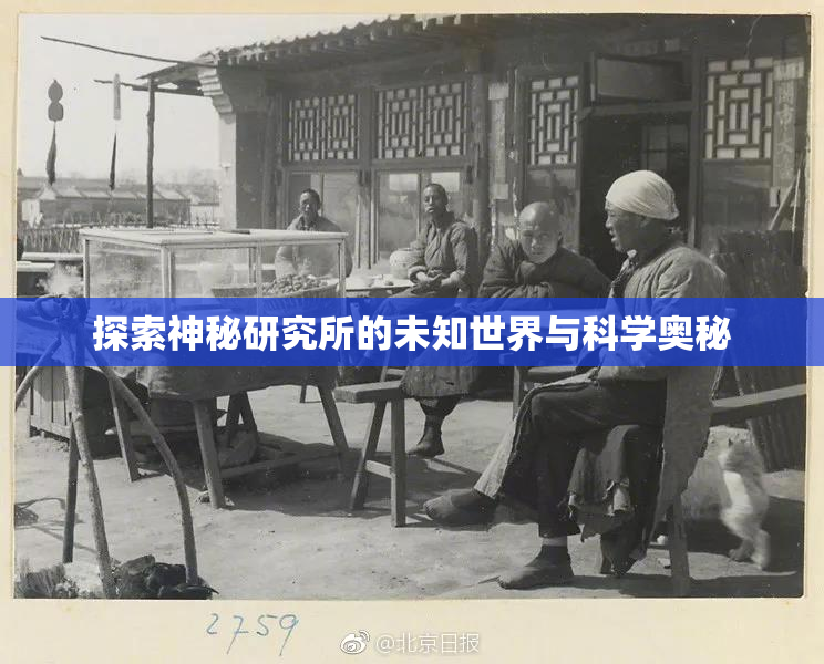 探索神秘研究所的未知世界与科学奥秘