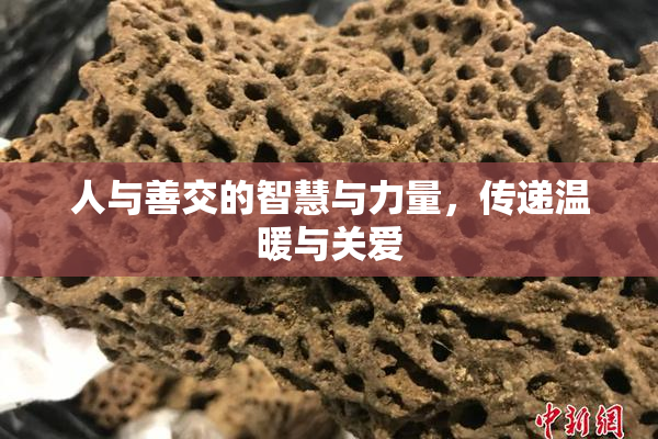 人与善交的智慧与力量，传递温暖与关爱