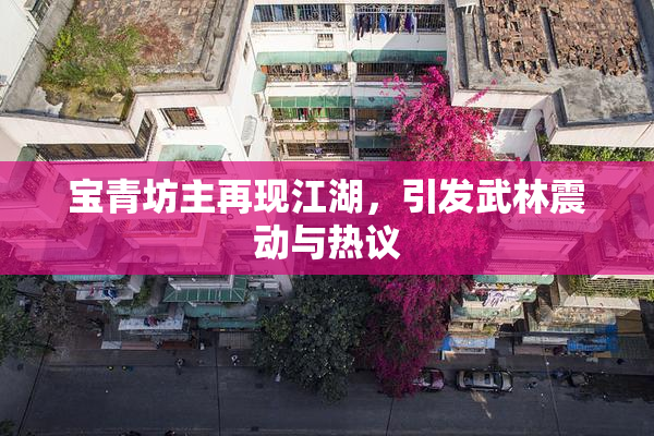 宝青坊主再现江湖，引发武林震动与热议
