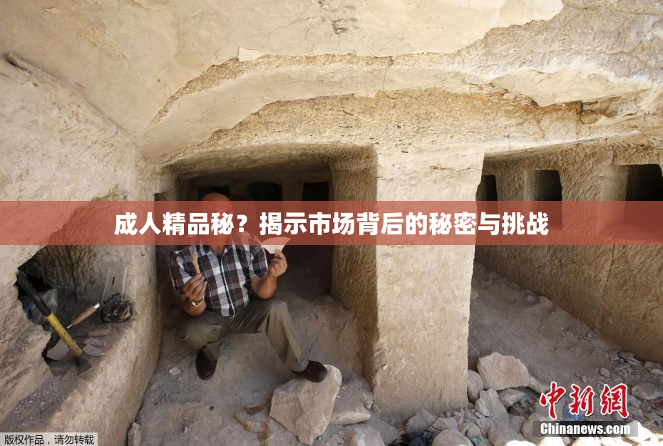 成人精品秘？揭示市场背后的秘密与挑战
