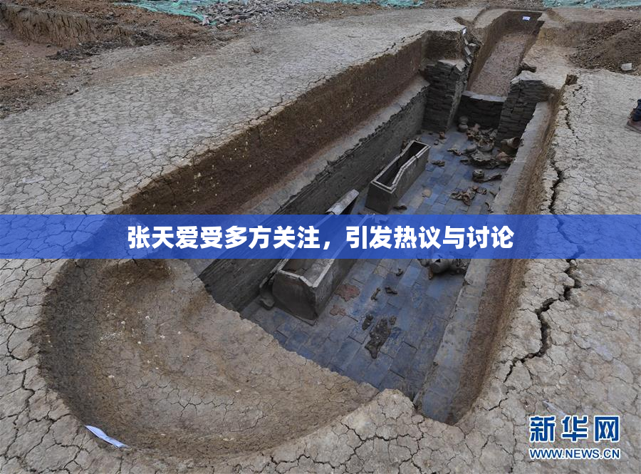 张天爱受多方关注，引发热议与讨论
