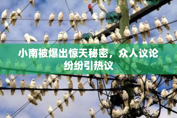 小南被爆出惊天秘密，众人议论纷纷引热议