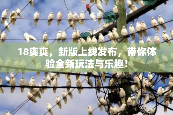 18爽爽，新版上线发布，带你体验全新玩法与乐趣！