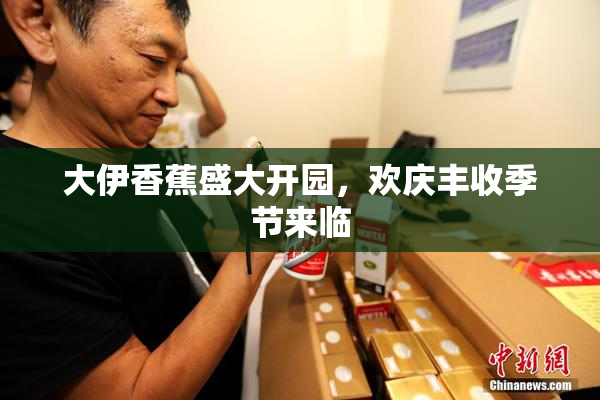 大伊香蕉盛大开园，欢庆丰收季节来临
